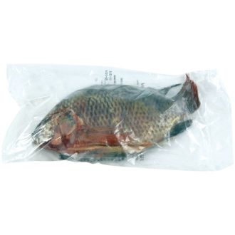   Black Tilapia gutted & descaled 500-800 g a piece - Asian Pearl